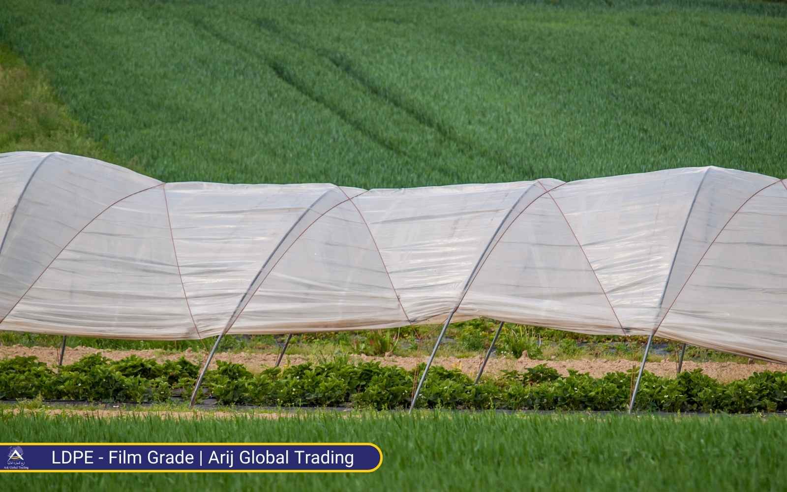 LDPE film grade supplied by arij global trading for Agricultural films